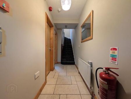 115 Ulsterville Avenue, Belfast, BT9 7AU - Photo 5