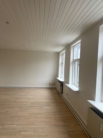 Frederiksgade 20A 1. TV 7800 Skive - Photo 2