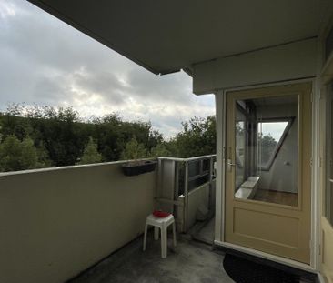 Te huur: Appartement Koning Lodewijklaan in Apeldoorn - Foto 1