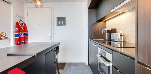 Appartement Ville-Marie (Montréal) À Louer - Photo 2