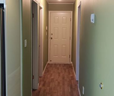$1,900 / 2br – 846ft2 – Conveniently located 2-bedroom LOWER-level ... - Photo 5