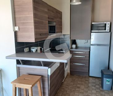 Location Appartement 1 pièce 28m² - Photo 4