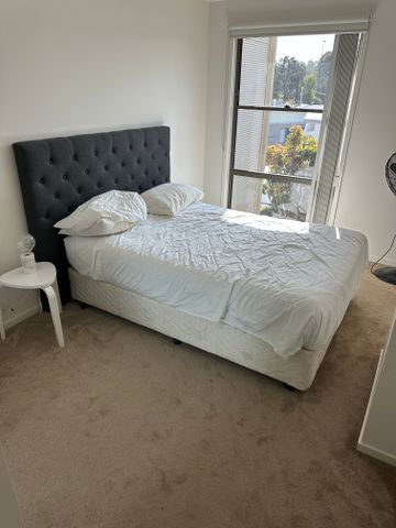 Springfield - Photo 2