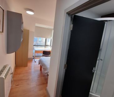 Henry Moore Suite, Lustrous House Room 6 - Photo 3