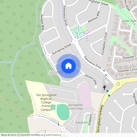 10 Darwinia Street, Qld 4300, Springfield