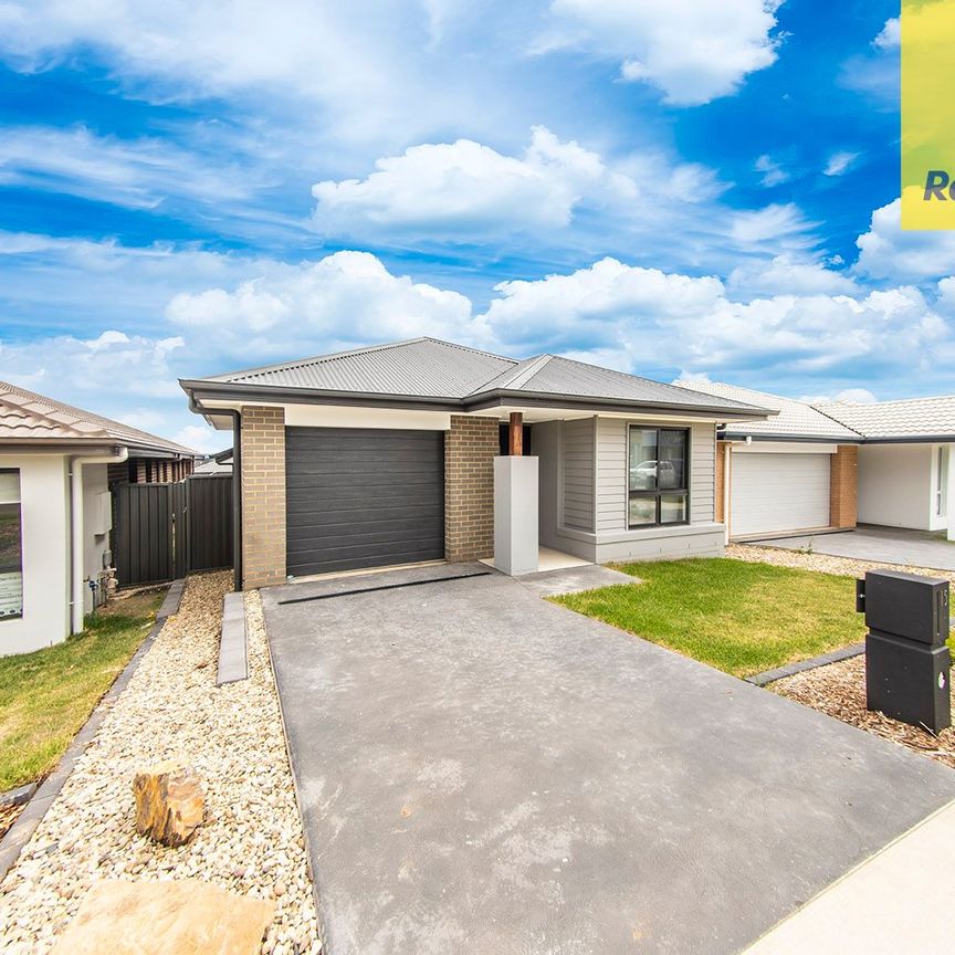 Simply Stunning and One Of a Kind - Photo 1