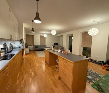 Koggens Gränd, Malmö - Foto 4