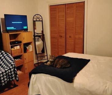 4 1/2 - Montréal (Montréal-Nord) - 1 520 $/mois - Photo 3