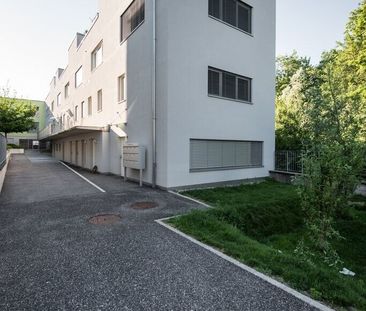 Looking for the unusual? We have it - Photo 1