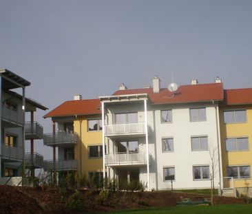 HOLLABRUNN XX/1 - Photo 2