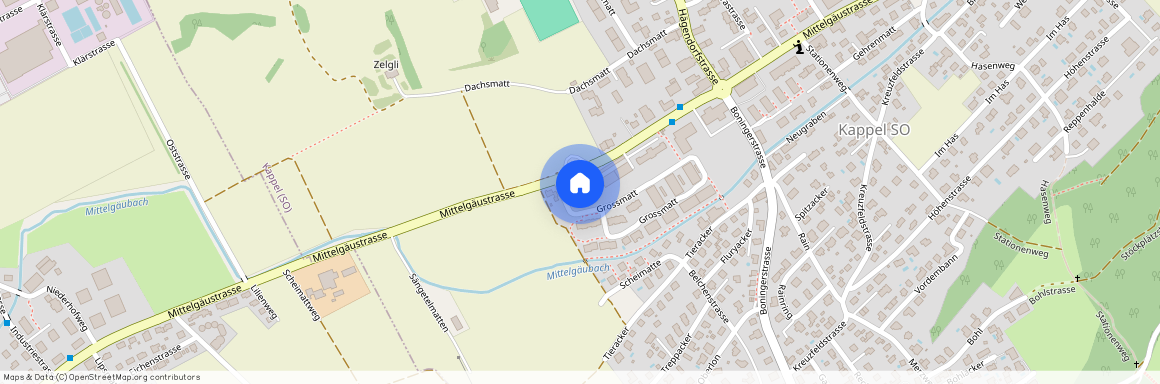 Grossmatt 1, Kappel So