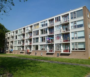 Te huur: Appartement Wilbertoord in Rotterdam - Photo 1