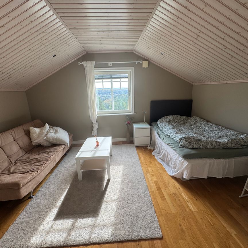 Tånåsvägen, Göteborg - Foto 1