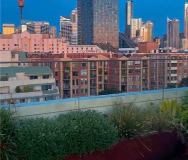 Pyrmont - Photo 2