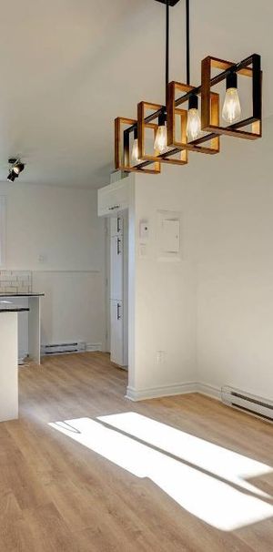 Grand 4 1/2 rénové à Mirabel - Libre maintenant - Internet inclus - Photo 1