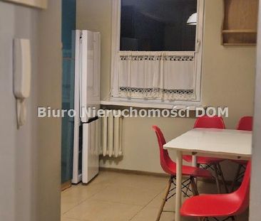 Mieszkanie Częstochowa Tysiąclecie powierzchnia 51.0 m² C227-WM-05928 - Фото 5