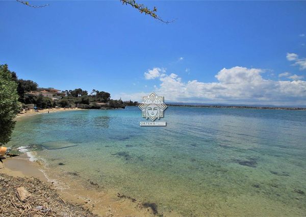 Villa near the sea