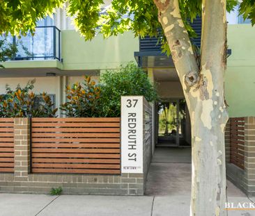 Ground level apartment with expansive courtyard - Photo 1