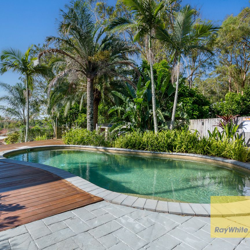 6 Strathford Court, Parkwood QLD 4214 - House For Rent | Domain - Photo 1