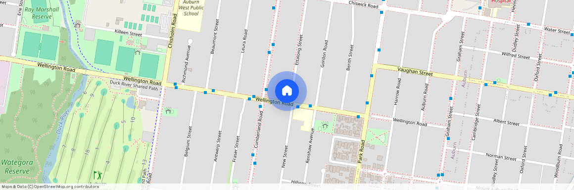 56A Wellington Road, NSW 2144, Auburn