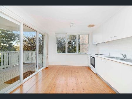 35 Salisbury Rd, Kensington NSW 2033 - House For Rent | Domain - Photo 4