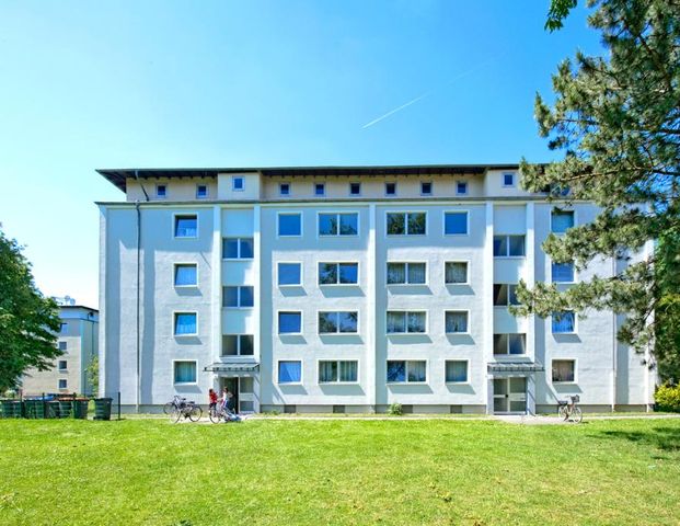 Hier müssen sie nur noch einziehen!  3-Zimmer-Wohnung sofort frei! - Foto 1