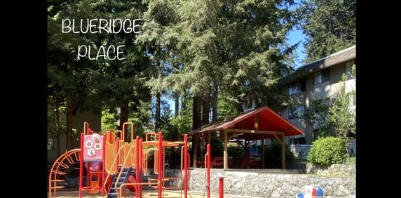 Blueridge Apartments - Photo 2