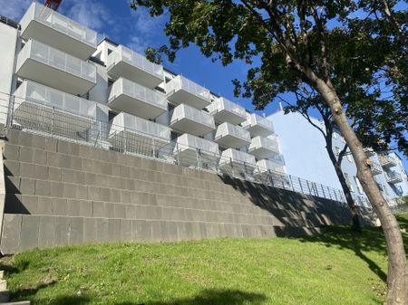 U3 ERSTBEZUG Top Dachwohnung 2 Zimmer + Terrasse =DAS LAURENZ= 1 bedroom apartment+terrace - Photo 2