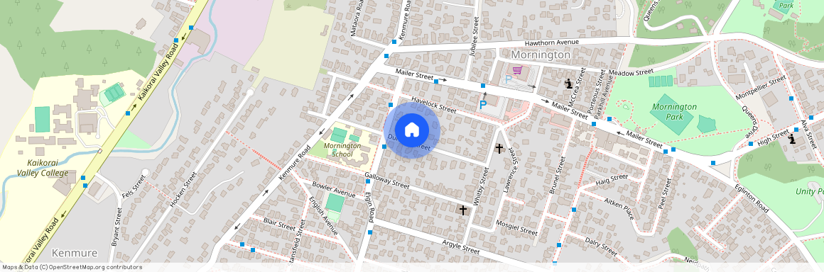 26 Durham Street, Mornington, Dunedin