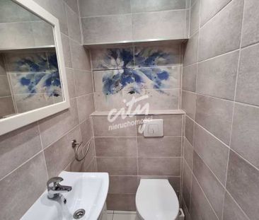 Centrum, 3 ładne pokoje na wynajem. - Photo 3