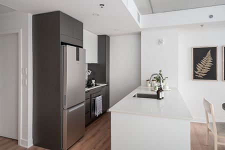 235 rue Young, Montréal, QC - Photo 5