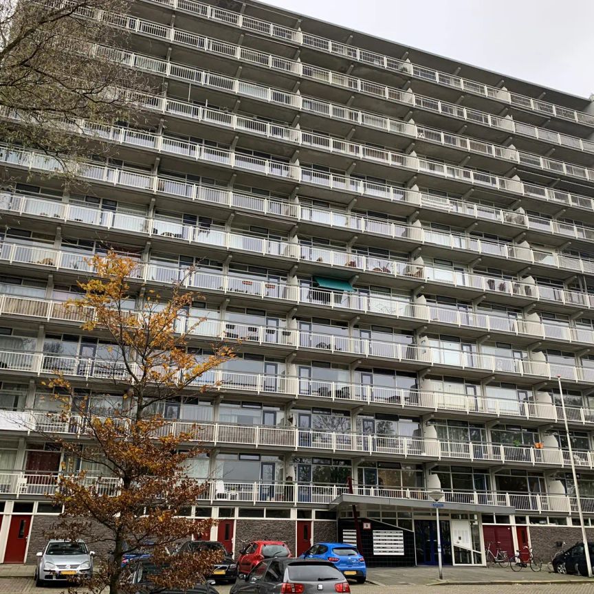 Appartement Anjenplein 34, Leeuwarden - À louer - Foto 1