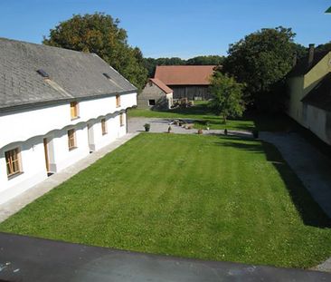 IM NATIONALPARK DONAUAUEN MIT TERRASSE & HOFSEITIGER GRÜNFLÄCHE - P... - Photo 6