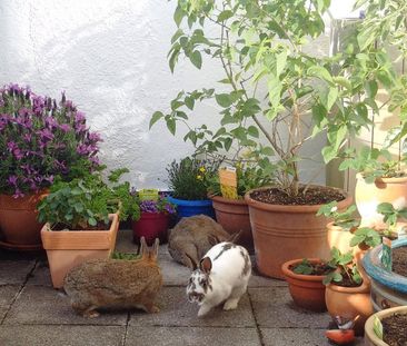 Pronájem bytu 2+1 • 96 m² bez realitkyGöggingerstr 31 Augsburg Anto... - Photo 6