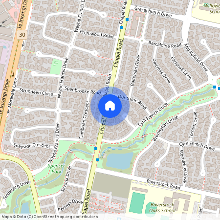 309 Chapel Road, Flat Bush, Manukau City