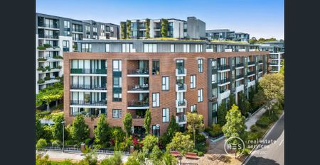 116/1A The Crescent, Glebe, NSW 2037 - Photo 2