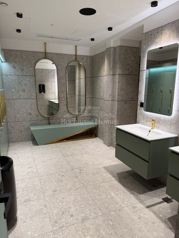 Contemporary One-Bedroom Apartment, Floreasca - Promenada Area - Photo 2