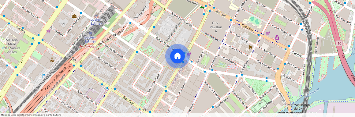 1315 Rue Notre-Dame O. App. 201 H3C6J4 Montréal (Ville-Marie) Montréal Centre