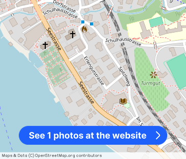 FIRST OCCUPATION - Your happiness of living by the lake - Photo 1