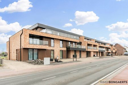 Gelijkvloers nieuwbouwappartement met 3 slaapkamers - Photo 4