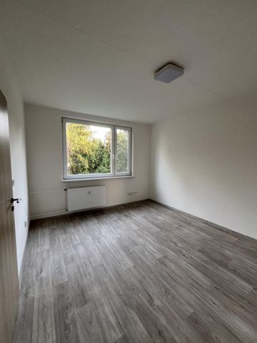Pronájem bytu 2+1 58 m2 - Fotografie 3