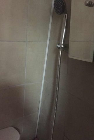 Room in a Shared Flat, Adelaide Grove, W12 - Photo 5