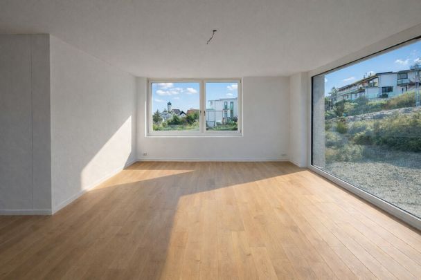 Zimmerbergstrasse 12 , 8800 Thalwil - Photo 1