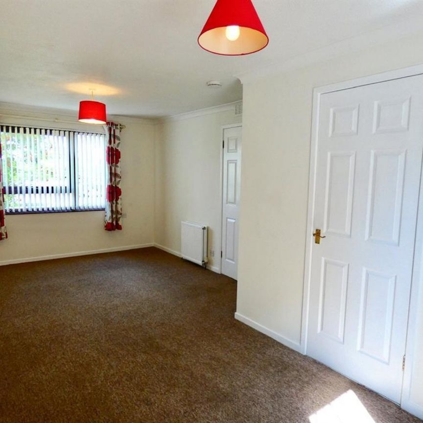 3 bedroom House To Let - Photo 1