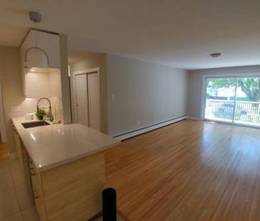 1 bdrm apartment for rent December 1 2024 $2400 - Photo 3