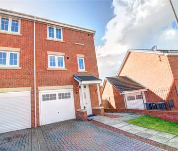 Holly Crescent, Sacriston, County Durham, DH7 6PT - Photo 6
