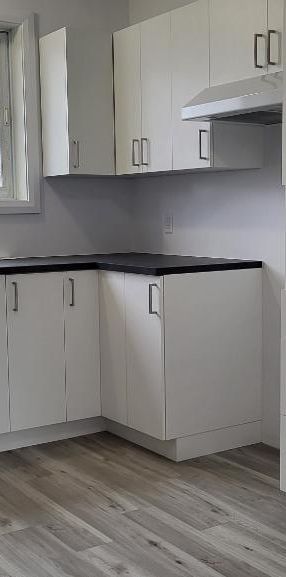 Grand 4 1/2 entièrement rénové pour février - Photo 1