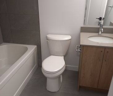 For Lease - 41 Mill Street Unit# 63, Kitchener, Ontario - Photo 5