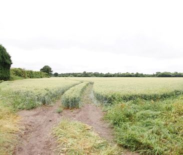 3 bedroom cottage to rent - Photo 1