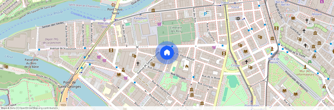 Rue du Village-Suisse 8, Jonction